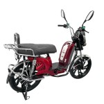 Factory direct sales of electric vehicles with a large guard bar, front and rear oil discs of the same color, CG tailframe, backrest and LED taillights